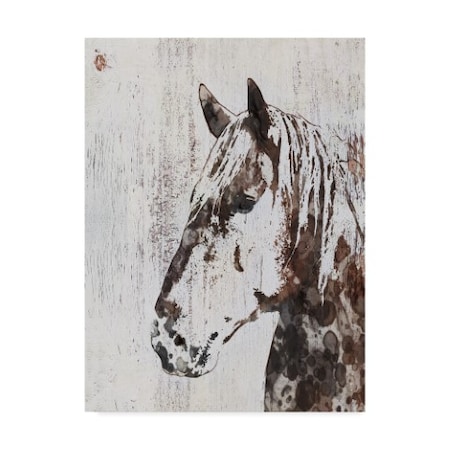 Irena Orlov 'Galaxy Horse Iii' Canvas Art,14x19